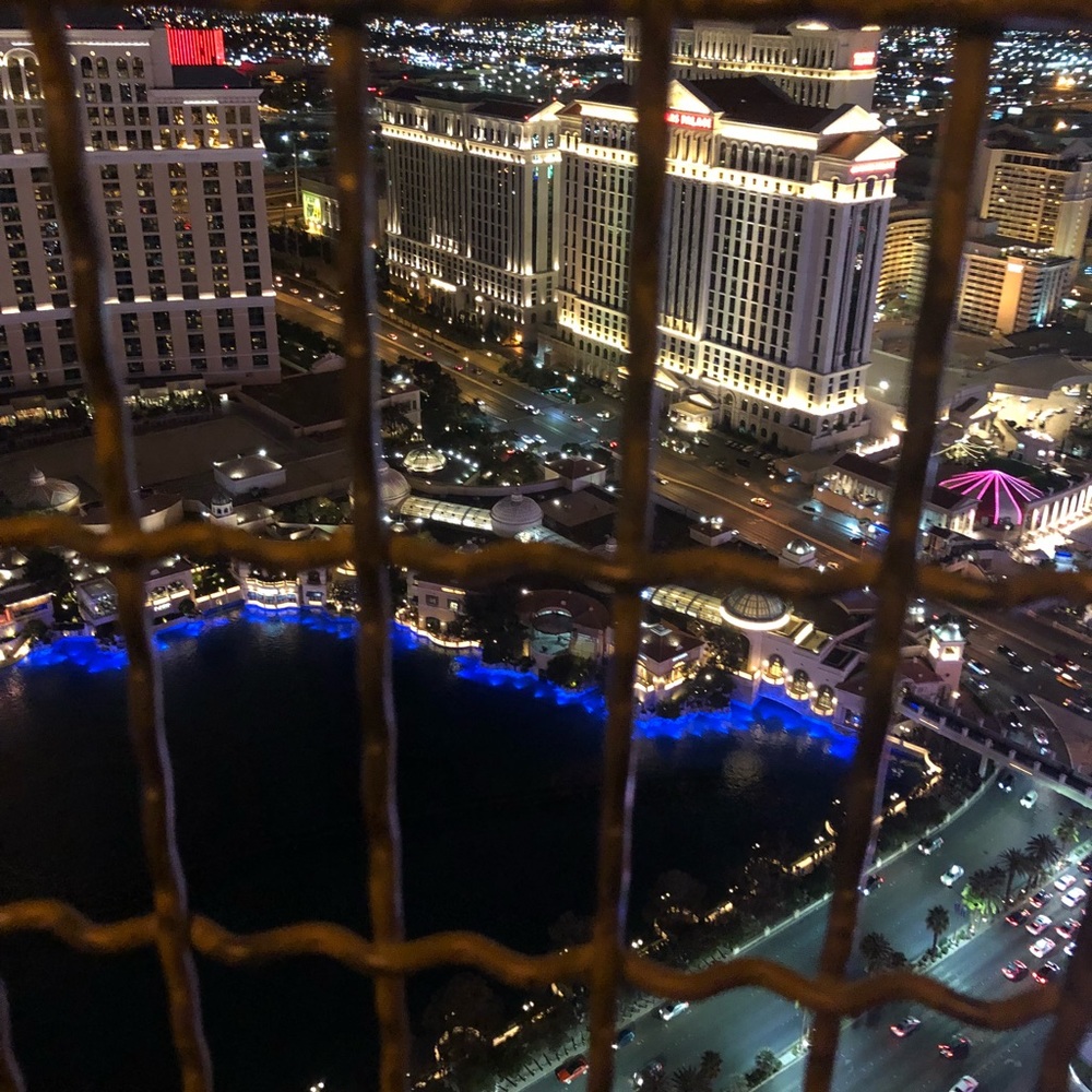 Meet your Posher, Terry